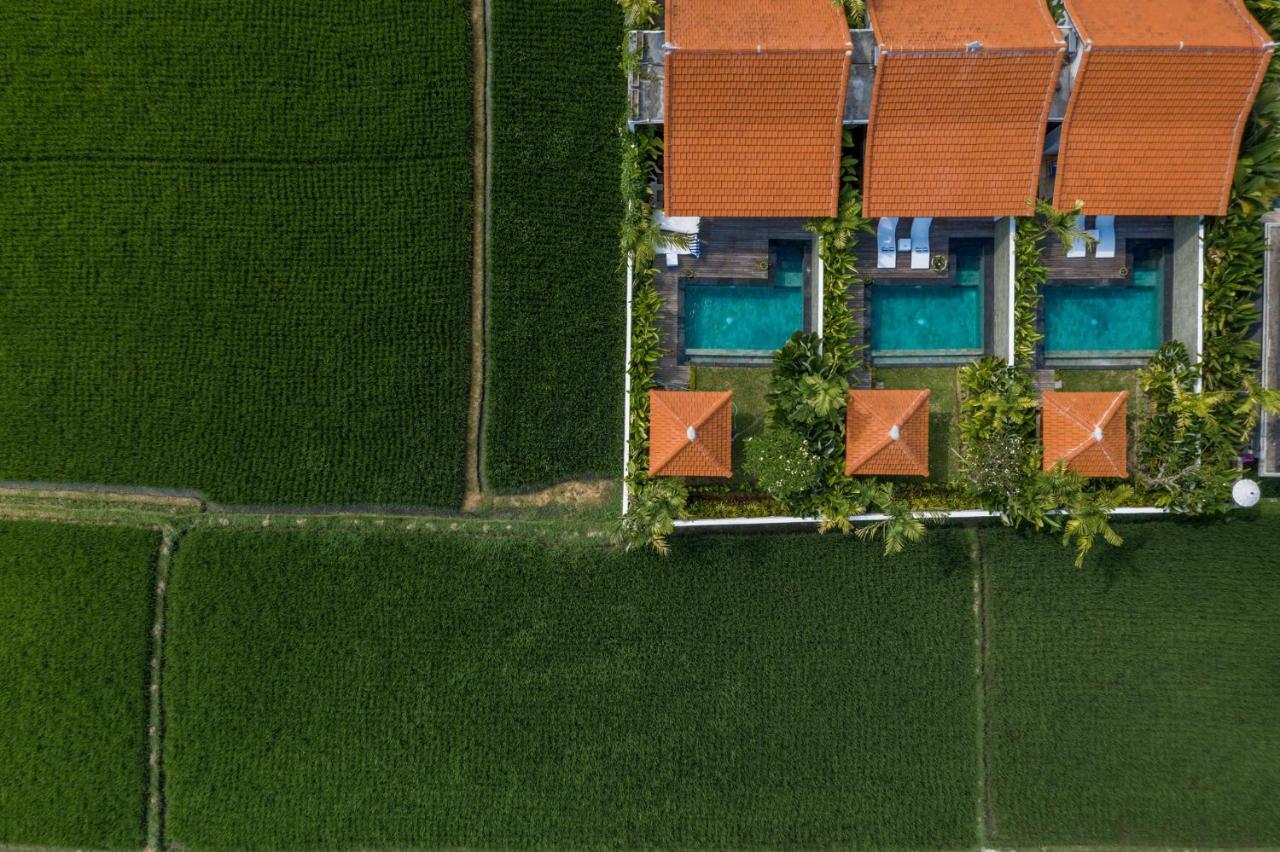 Sawah Villas Ubud Eksteriør billede